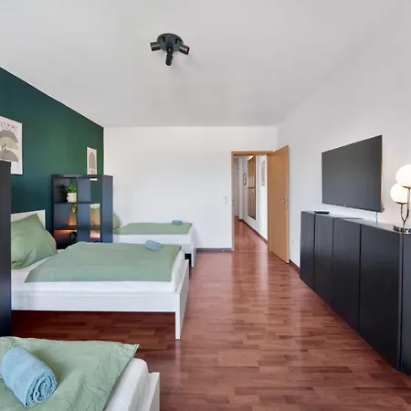 Designer In * Brunszwik