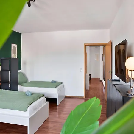 Designer In Brunszwik