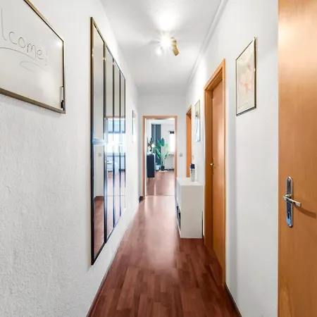 Designer In * Brunszwik