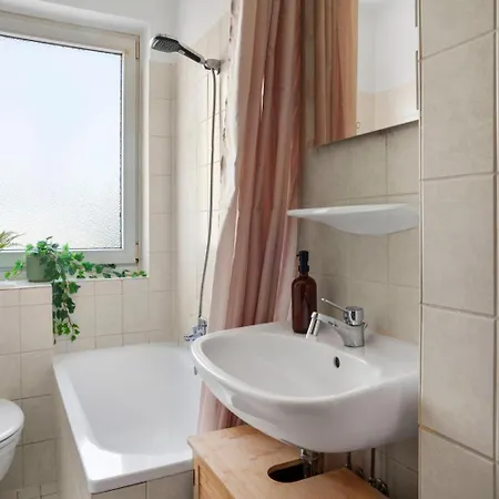 Designer In * Brunszwik